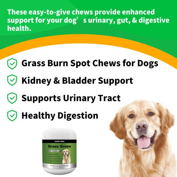 Cranberry Supplement for Dogs (Grass Burn Chews)