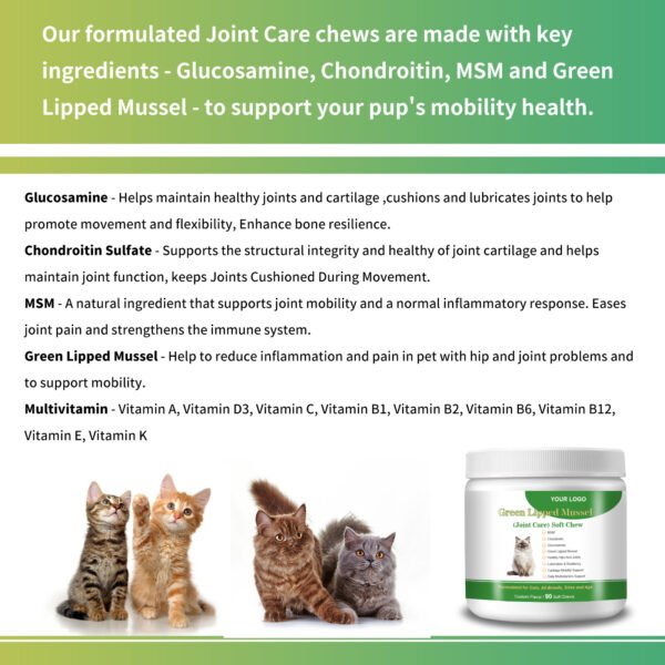 Green Lipped Mussel Joint Support Soft Chews for Cats