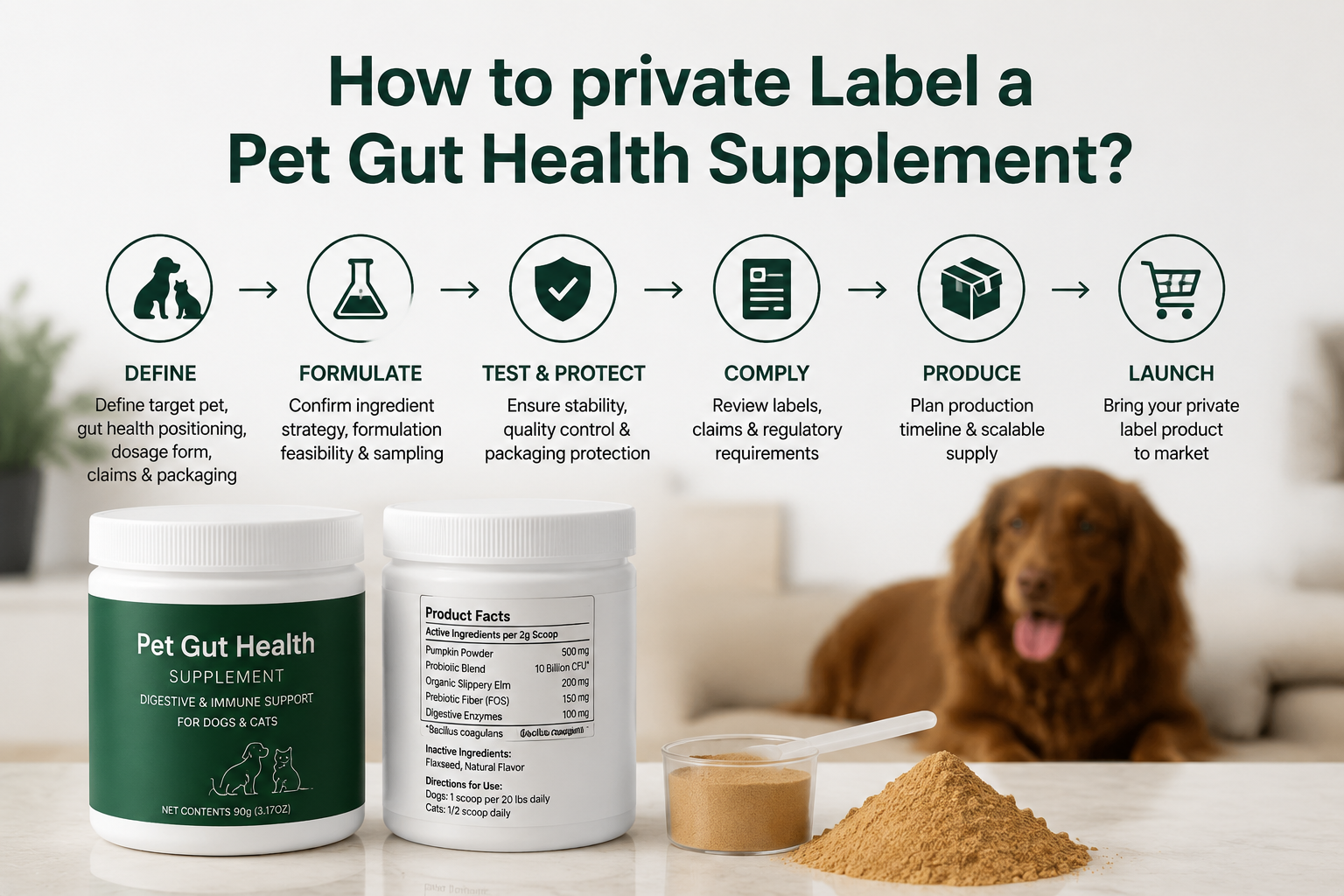 private label pet gut health supplement product development